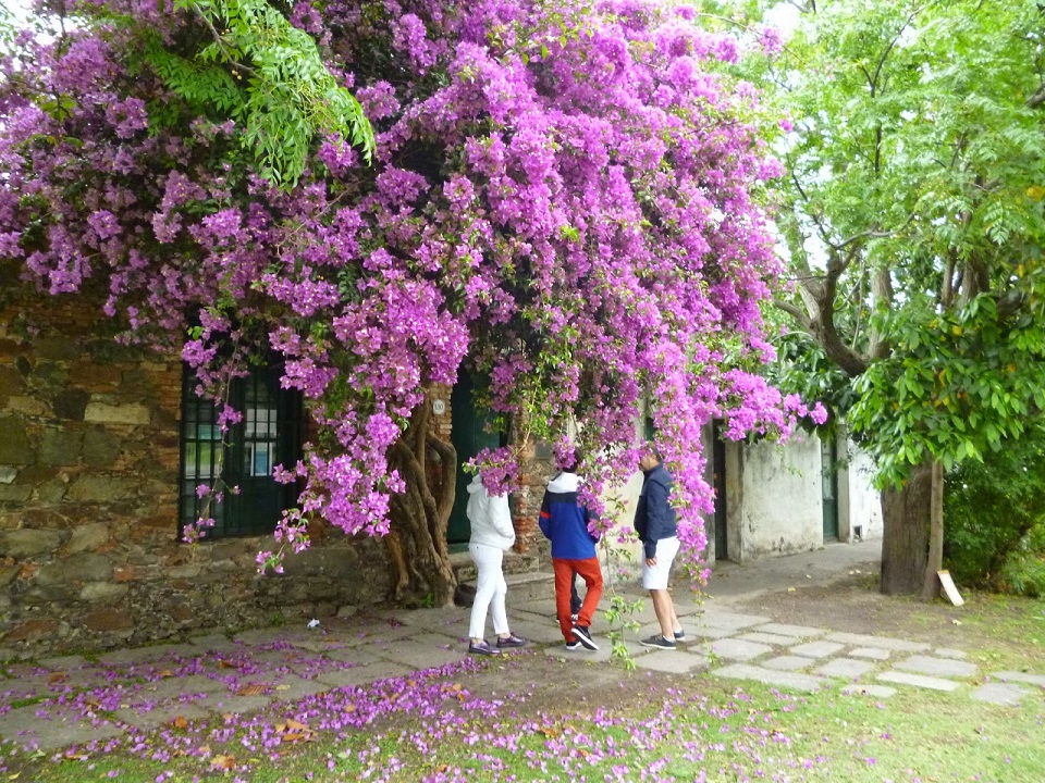 Las 3 estancias turísticas más atractivas de Uruguay